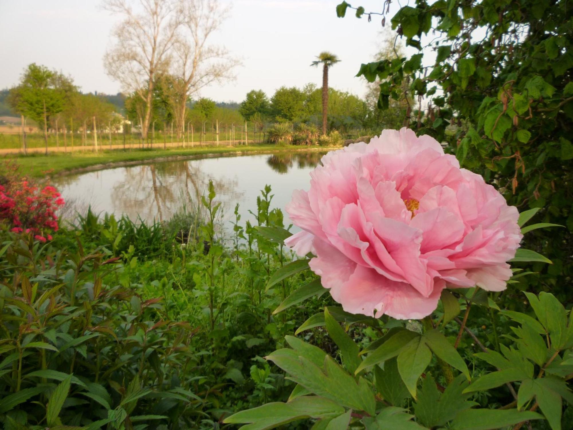 Country House Barone D'Asolo Guest House Exterior photo