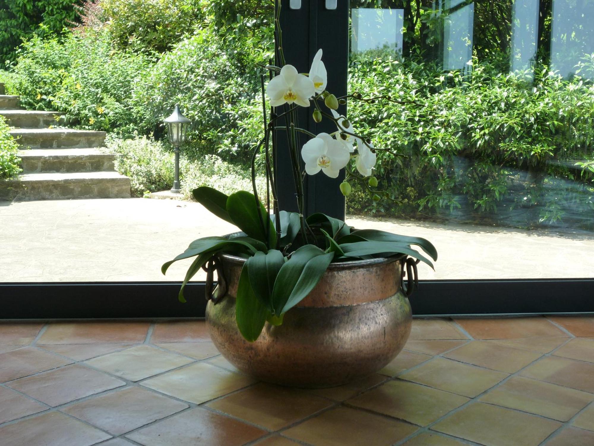 Country House Barone D'Asolo Exterior photo